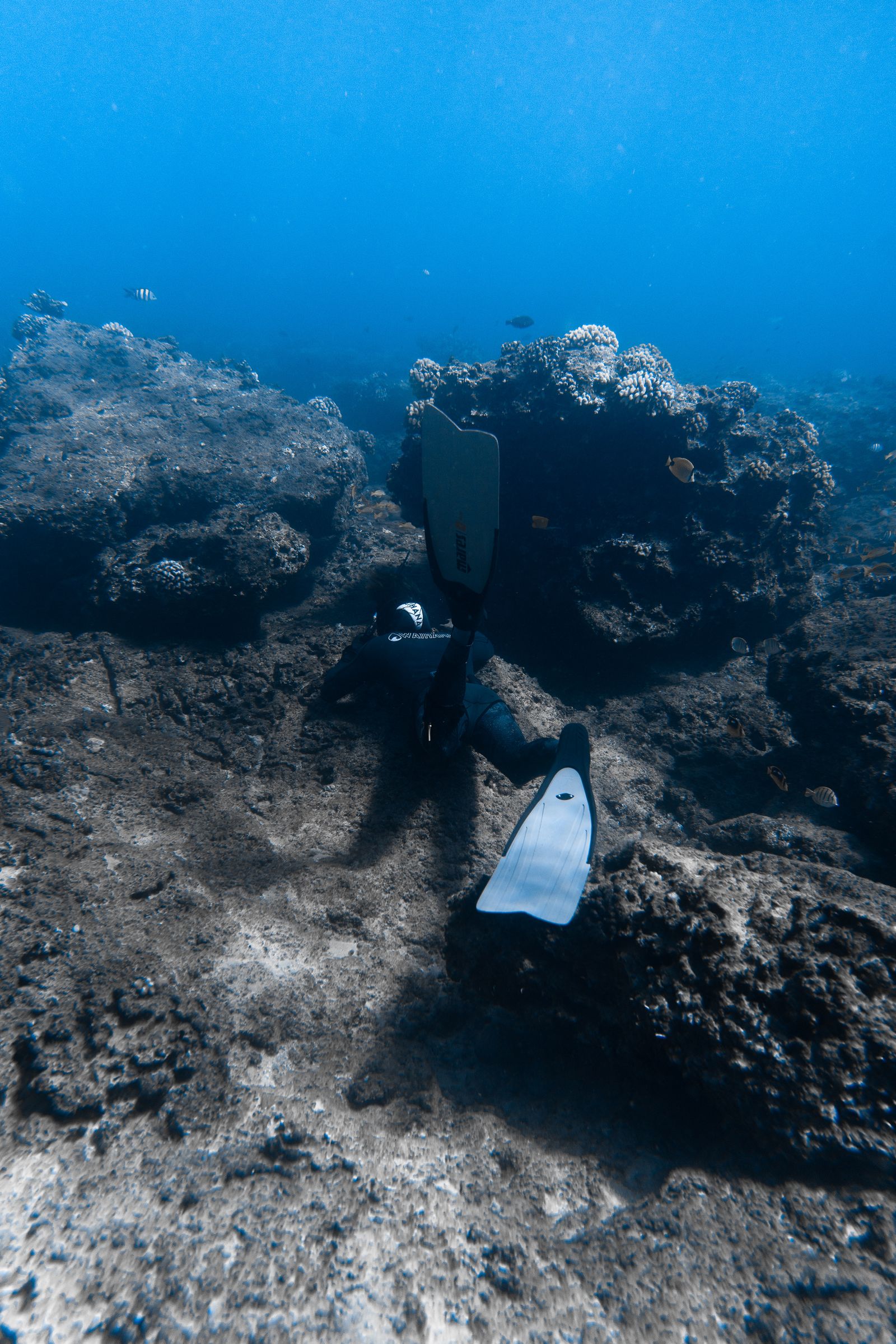 Scuba diver near a rocky reef