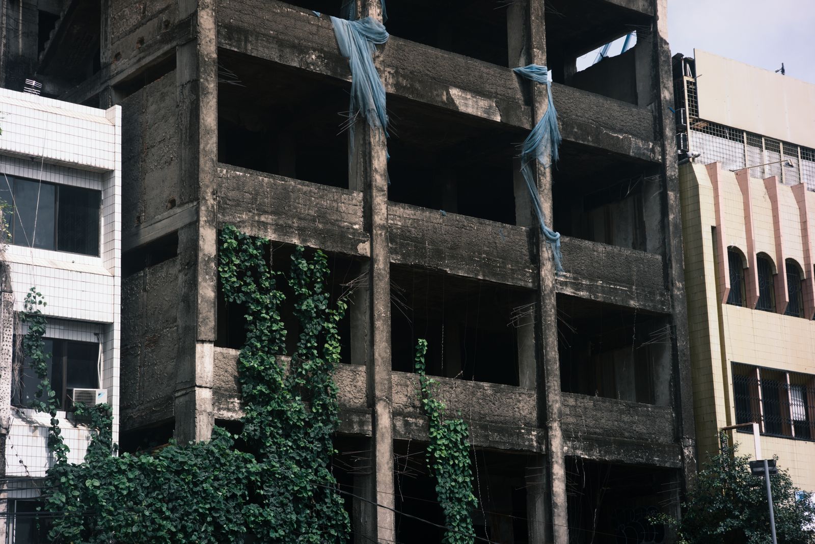 Building reclaimed by green plants